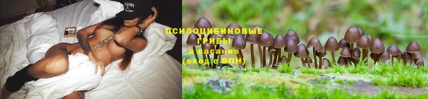 мет Мегион