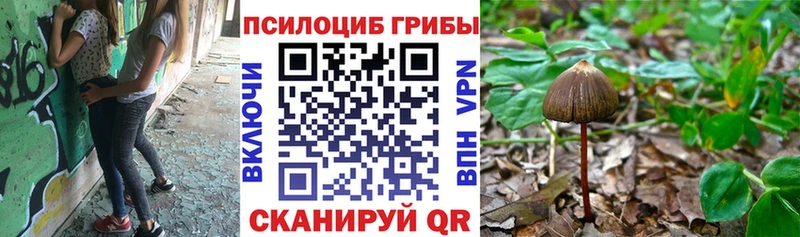 Псилоцибиновые грибы Psilocybine cubensis  купить наркотик  Серпухов 