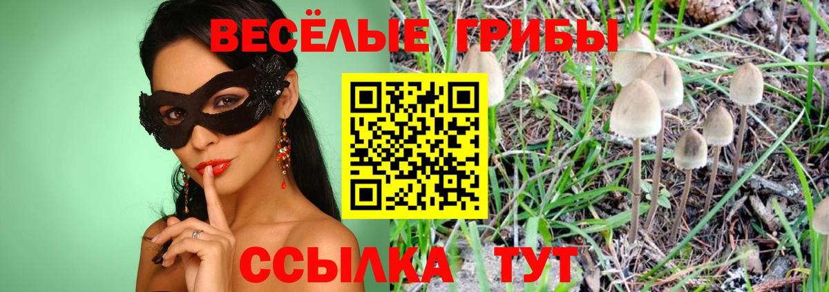 Псилоцибиновые грибы прущие грибы Серпухов