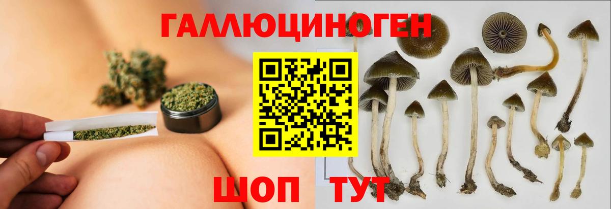 Галлюциногенные грибы мицелий  Вход с VPN  Серпухов 